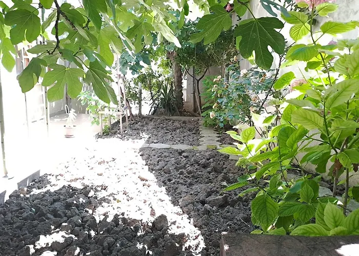 Summerbreath Daire *