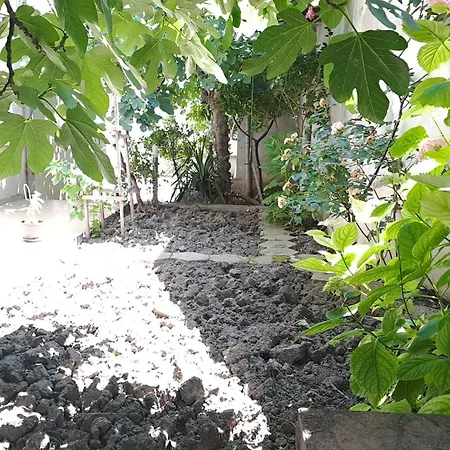 Summerbreath Apartman *